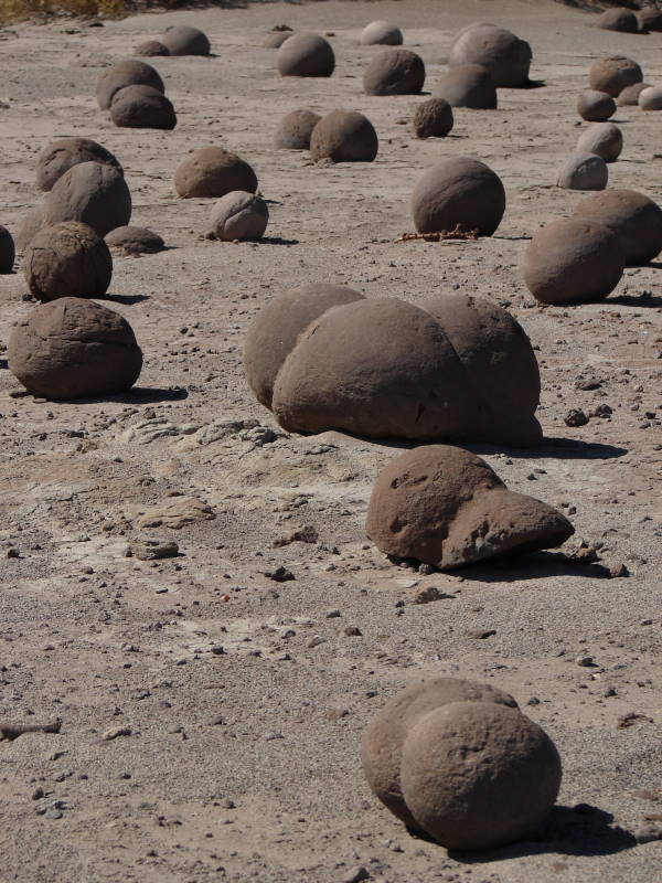 Miniatura: Ischigualasto