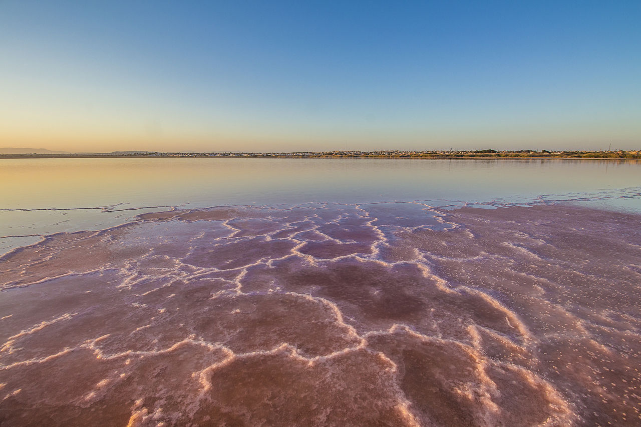 Miniatura: Salinas de Torrevieja